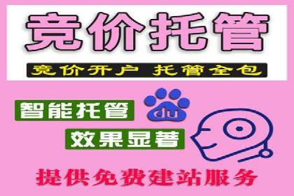 某公司sem竞价开户策略解析及效果评估
